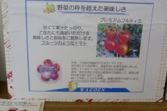 env_photo-20120629-03